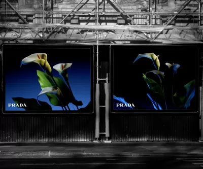 Prada - Flowers store windows